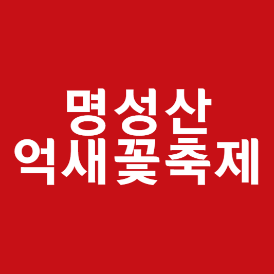 명성산 억새꽃축제