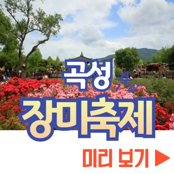 곡성 장미축제