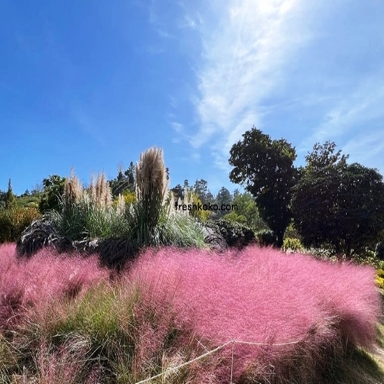 나주 가볼만한곳 베스트10