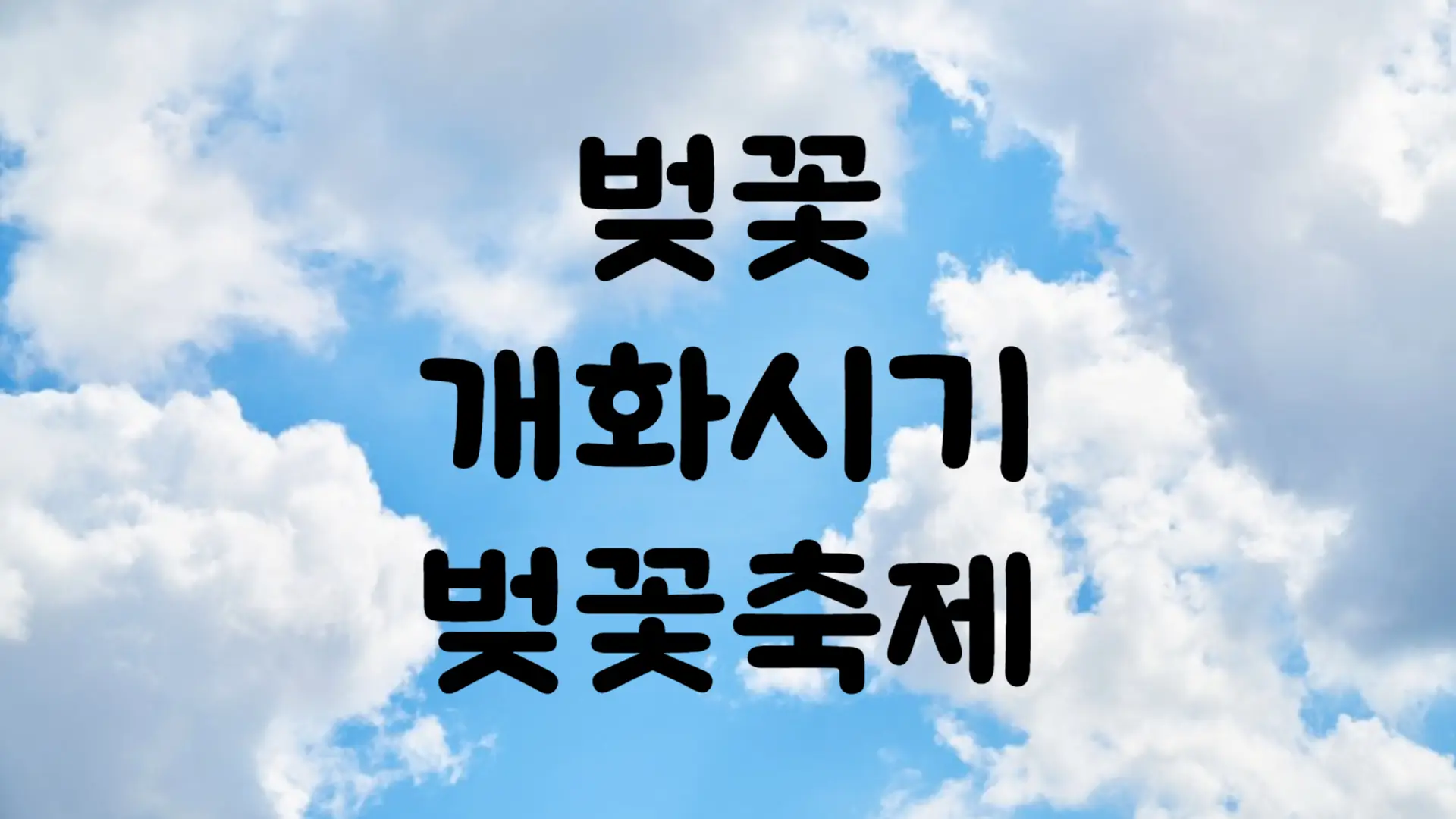 2024년 벚꽃 개화시기 만개시기 벚꽃축제