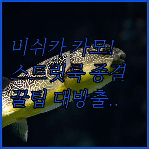 버쉬카 카모플라주 패딩 올겨울 스트리..