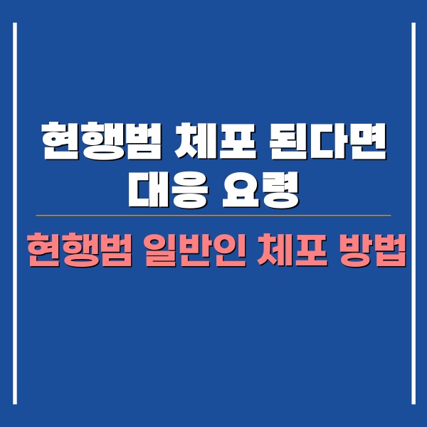 현행범 체포 대응 방법 포스팅 썸네일