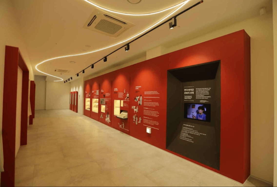 강아지 숲 실내 사진2