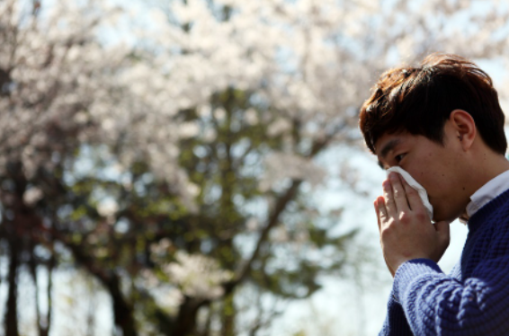 꽃가루 알레르기