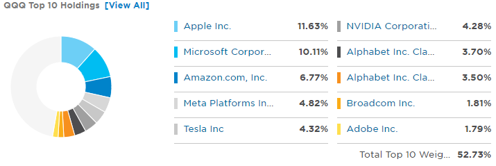 QQQ TOP 10 HOLDINGS