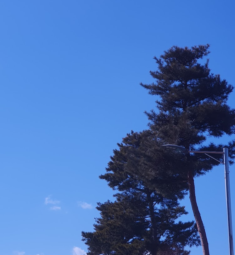 포항에서 맨발 걷기 하기 좋은 곳