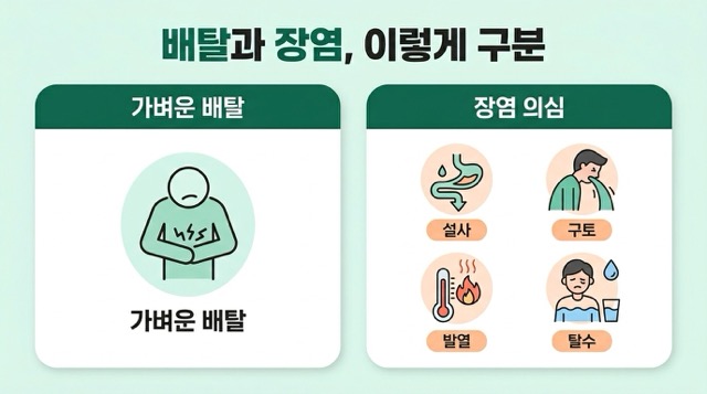 장염과 배탈 차이 설명