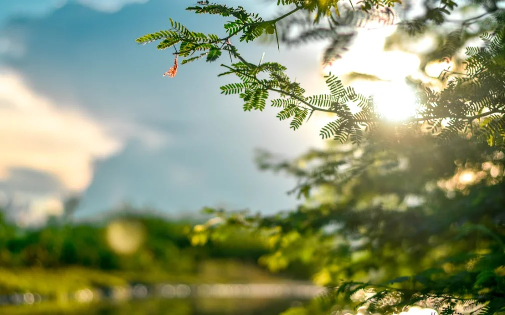 여름철 노화방지