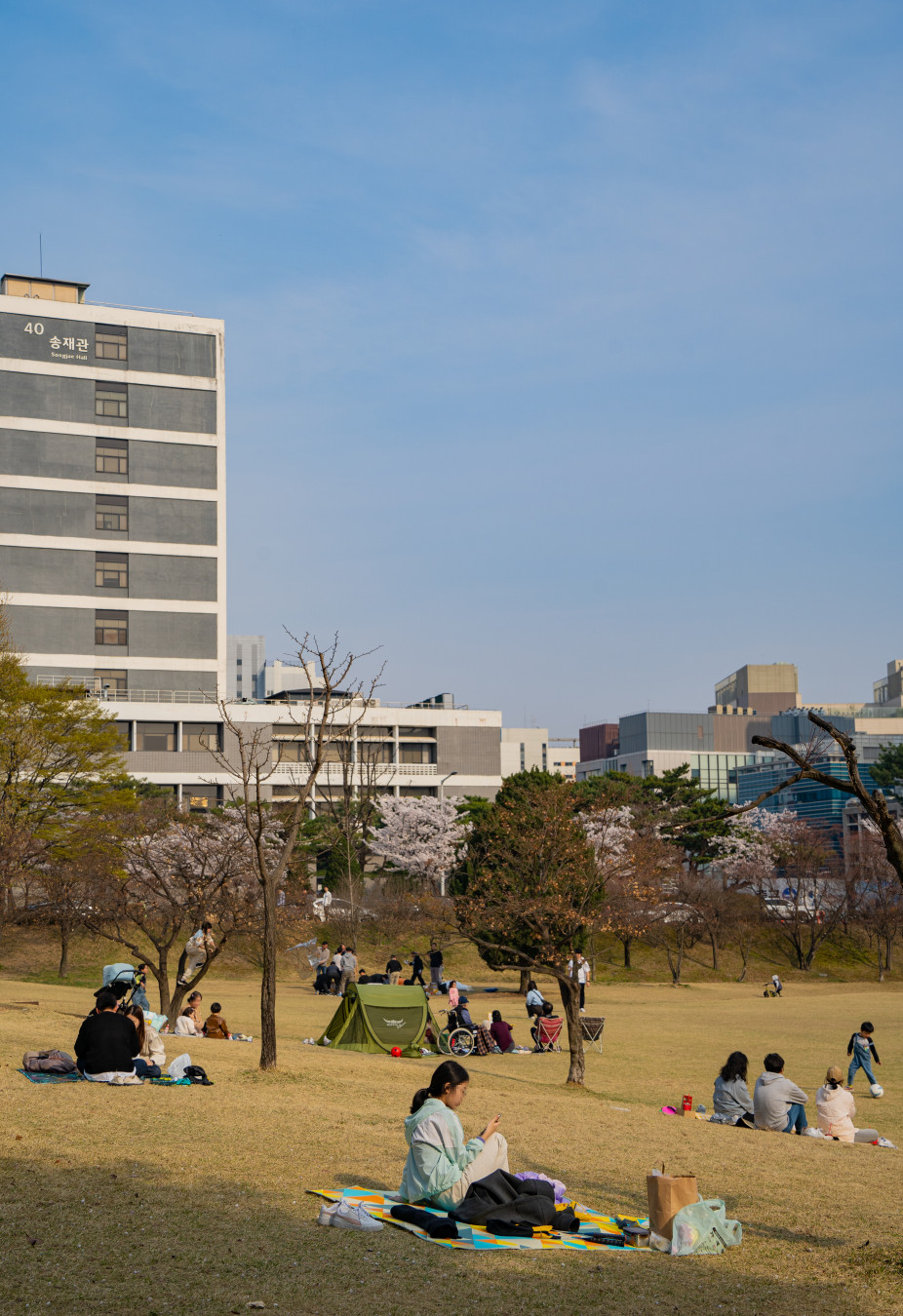 아주대학교 들판