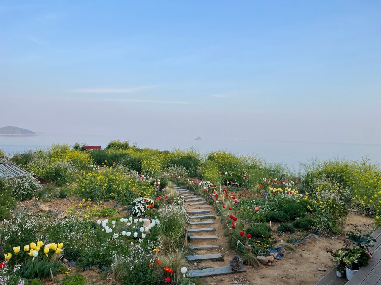 생생정보 두 집 살림 카페 순이로 남해 한 달 살아보기 카페 톨 생생정보 2299회