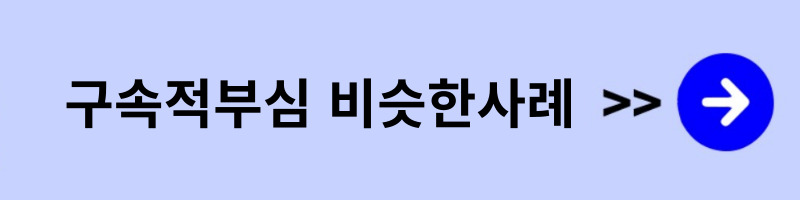 구속적부심