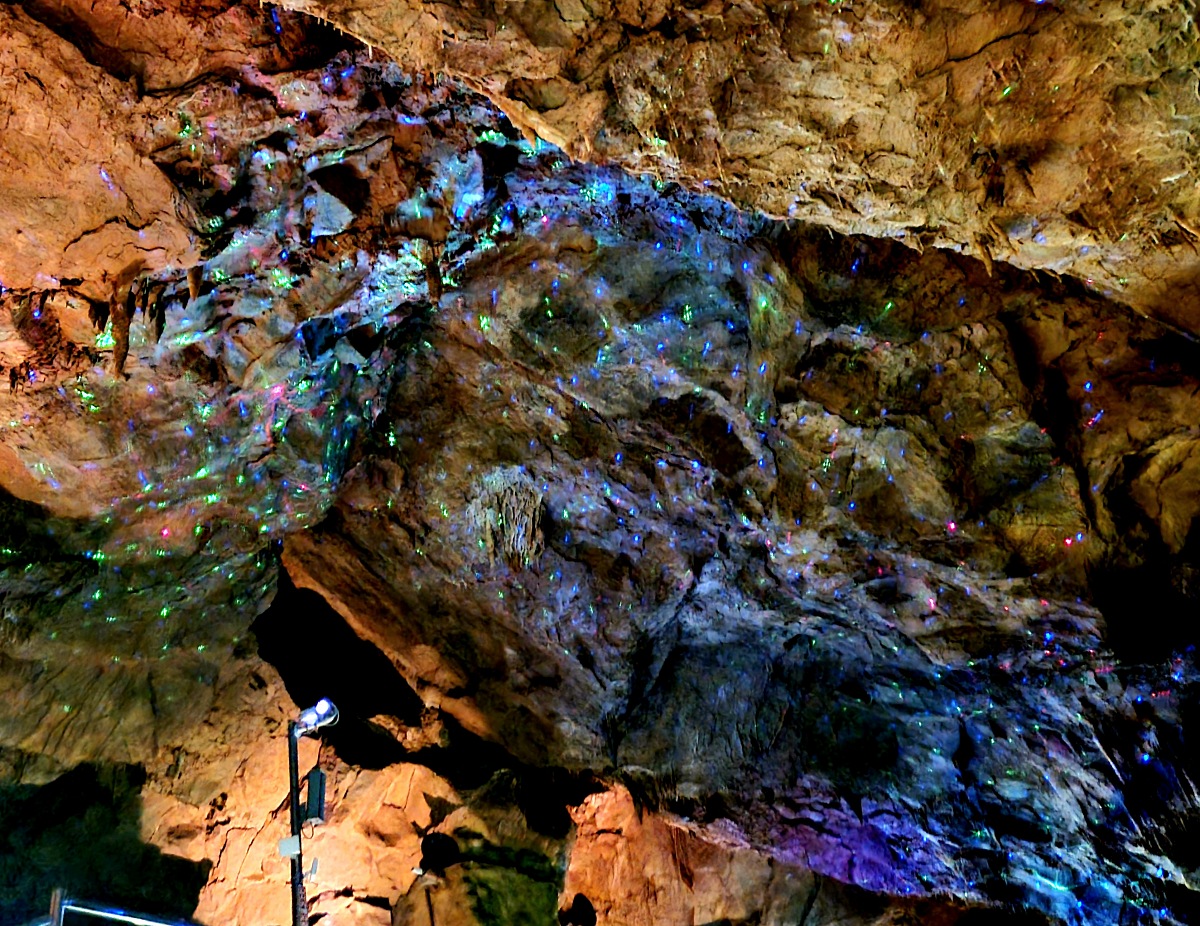 동해 가볼만한곳 천곡황금박쥐동굴 후기 비 오는 날 좋은 실내 여행지