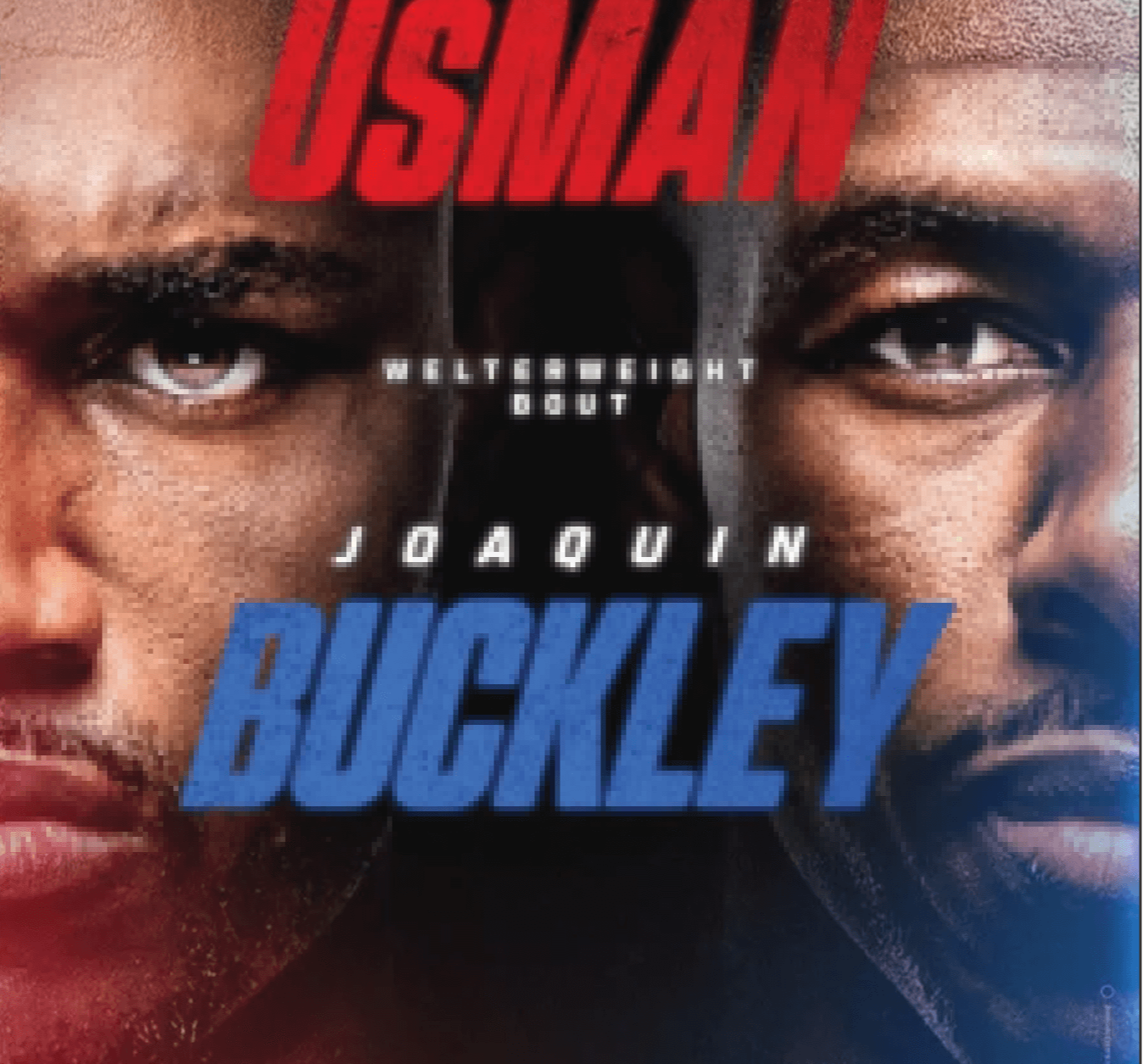 UFC316 경기일정4