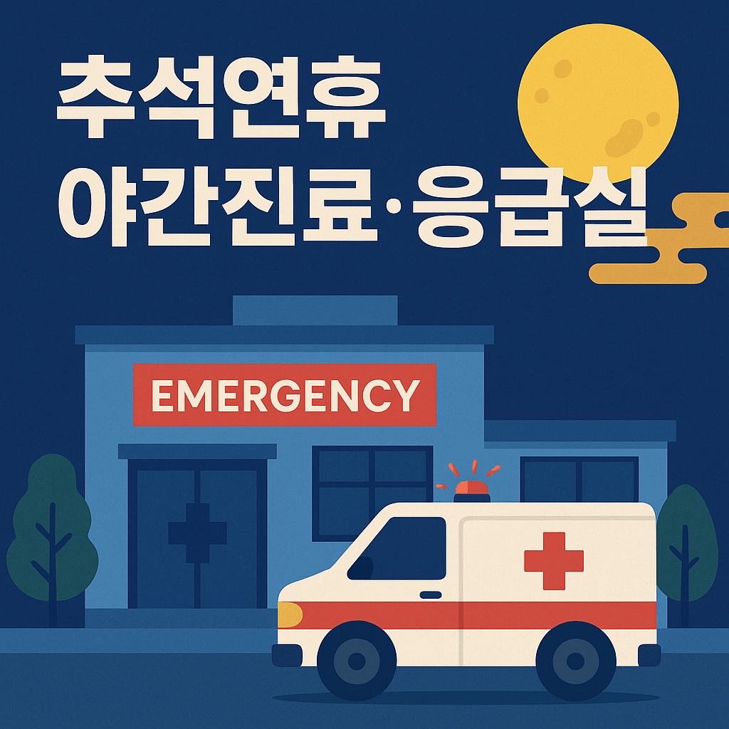 추석연휴 야간진료 응급실