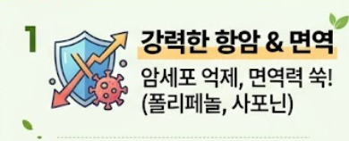 머위 효능