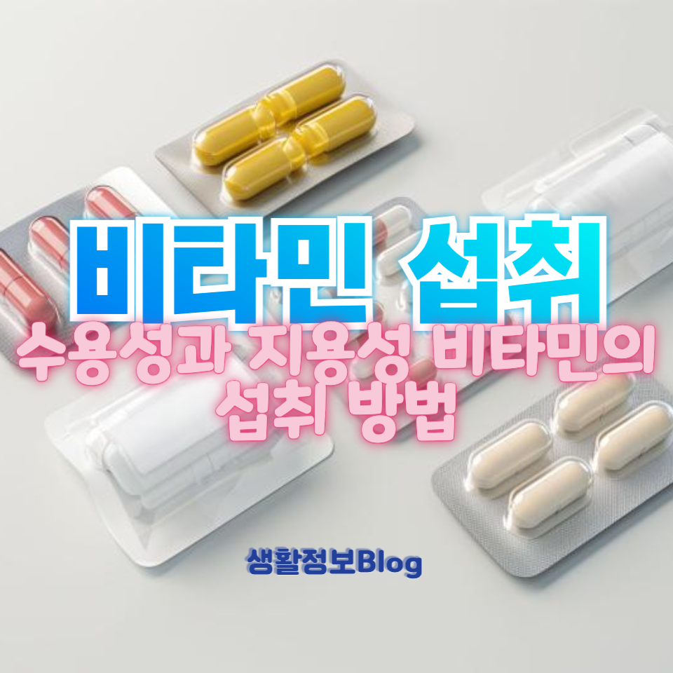 비타민 섭취