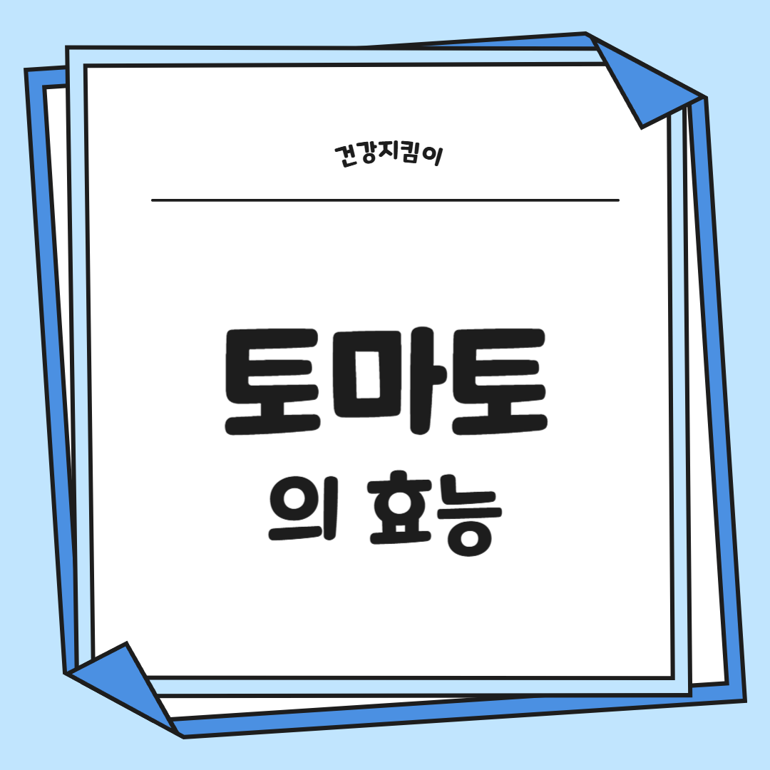 토마토 효능 부작용 고르는법 칼로리