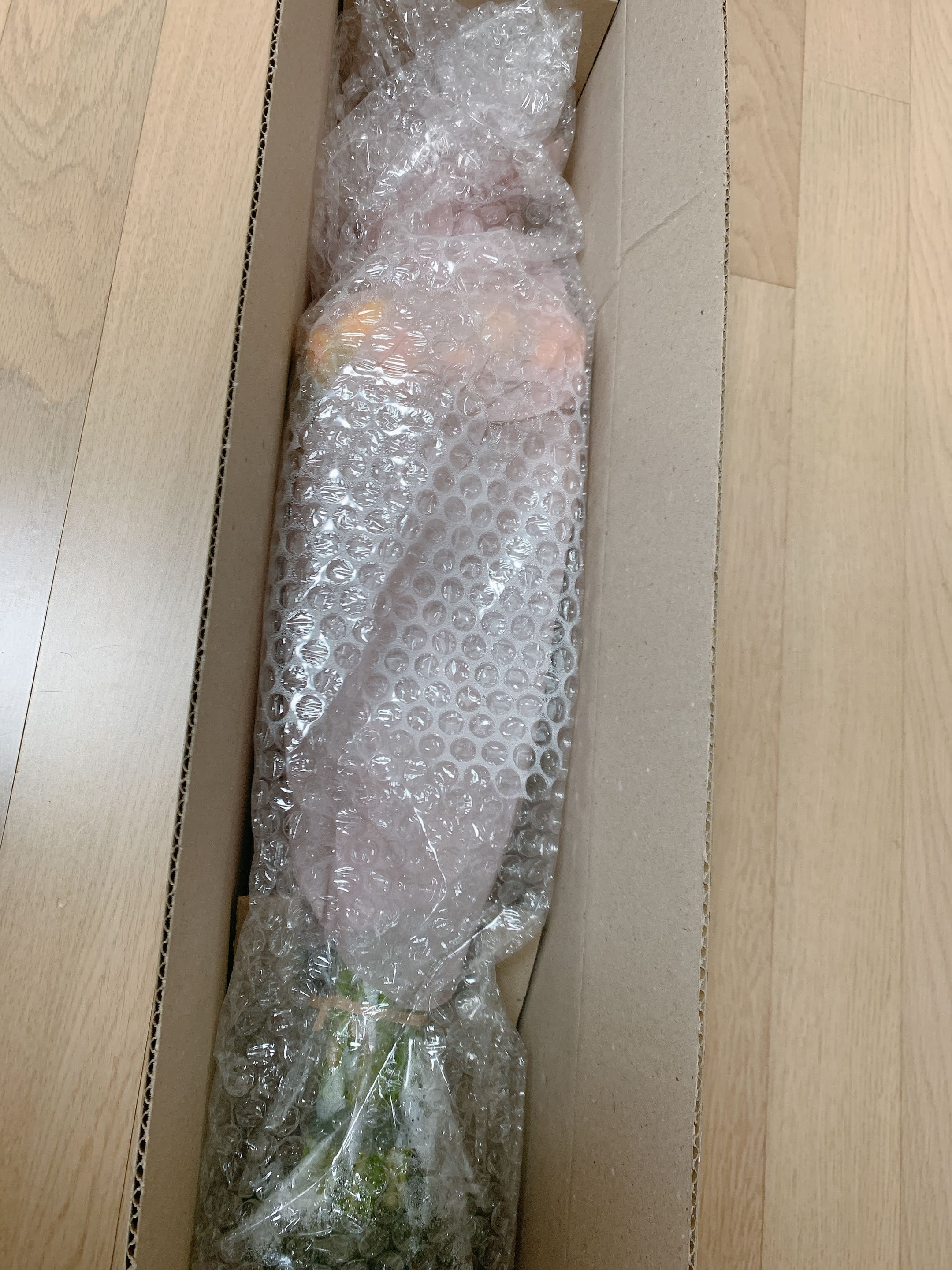딜립 프리지아 배송 포장