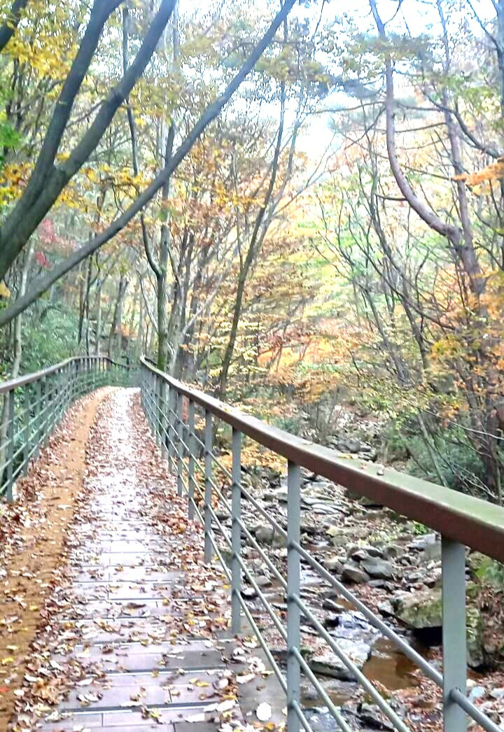 대둔산 하산길 테크