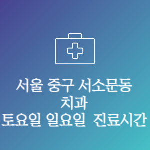 서울 중구 서소문동 치과 주말 토요일 일요일 문여는 병원 진료시간
