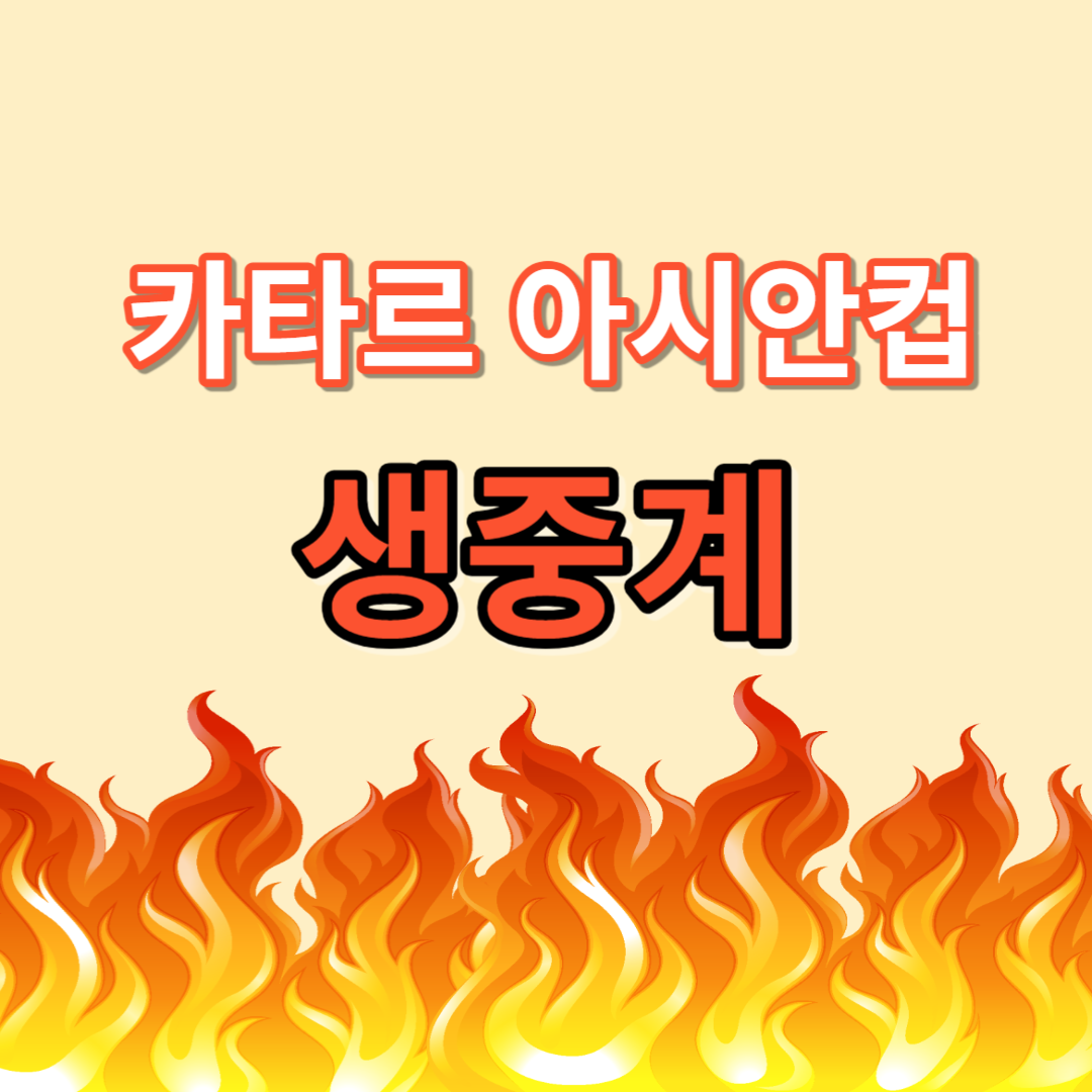 AFC 카타르 아시안컵 중계