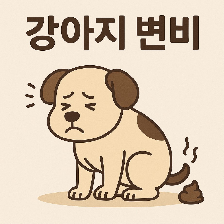 강아지 변비 증상 및 치료 방법, 강아지 변비 걸렸을 때