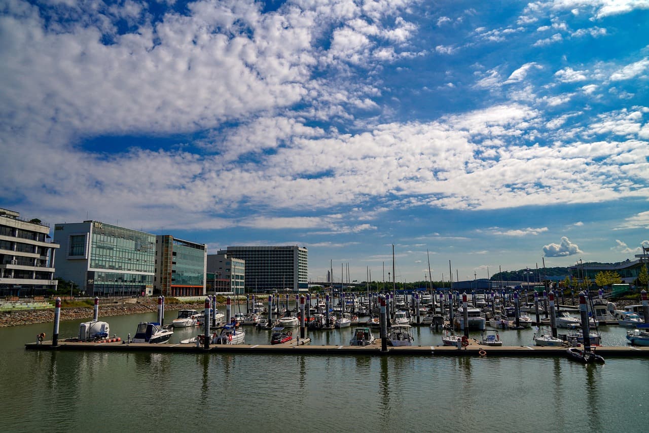 가을 대형견 여행 김포 대명항 바닷가 산책길