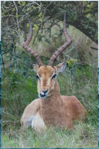 보관용기 선택 유리 스테인리스 플라스틱 냄새 이염 방지_11