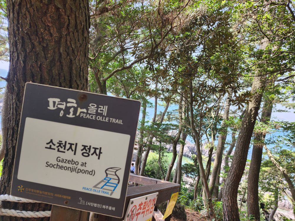 소천지정자