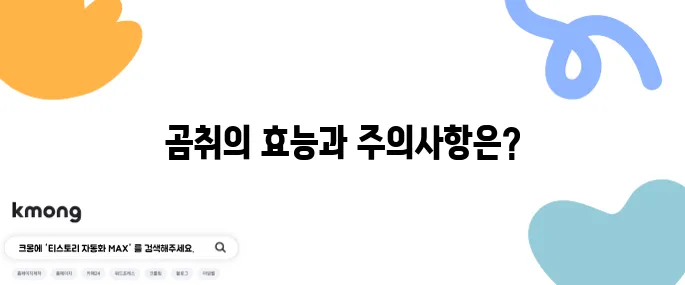 곰취의 10가지 효능과 주의해야 할 부작용