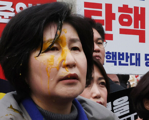 헌재 앞에서 민주당 의원 폭행&middot;계란 투척&hellip; 경찰 수사 착수