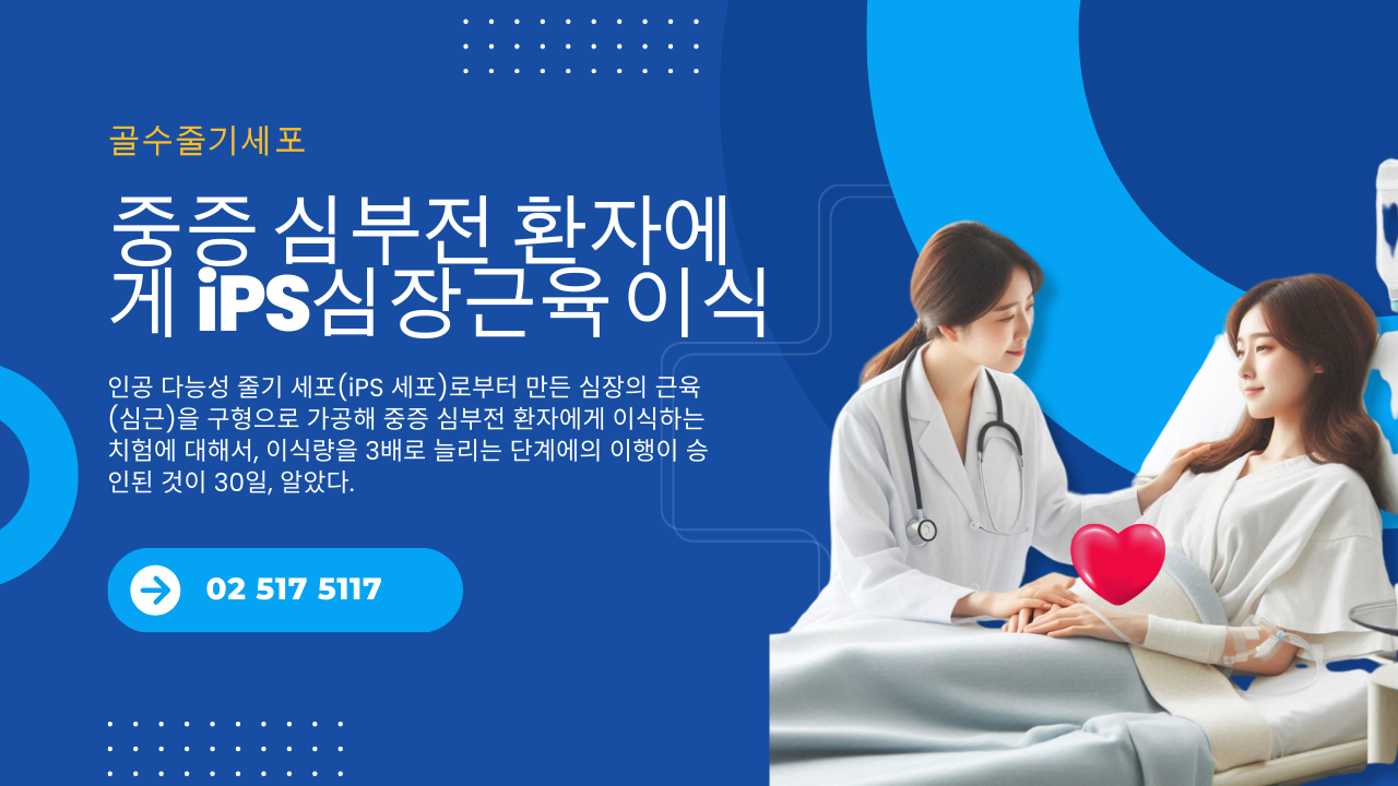 중증 심부전 환자에게 iPS심장근육 이식