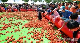제22회 퇴촌 토마토 축제 기본일정과 프로그램 정리 정동하 소찬휘 박기영 조항조 윤수현 손태진 무룡 써니 임윤성 강자민 출연