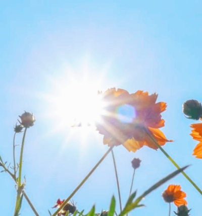 햇빛 알레르기 증상과 없애는방법