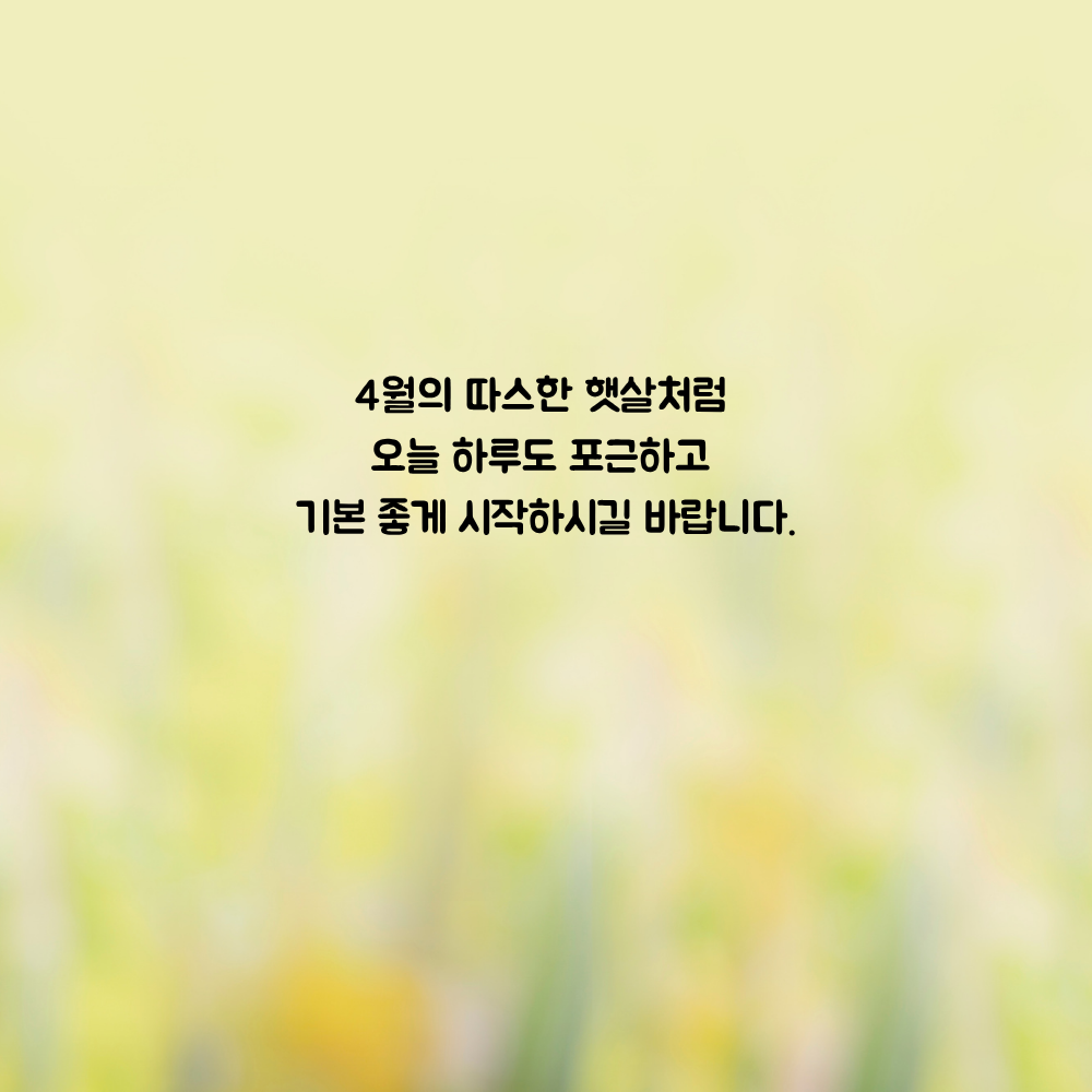 4월 인사말 문구 이미지 모음집 좋은글귀 봄 인사말