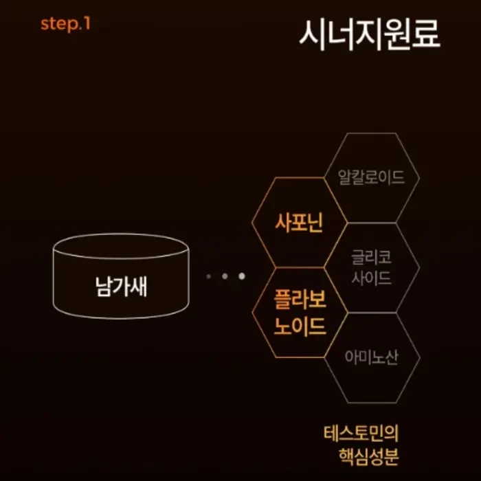 셀로비스 테스토민 효능 부작용 내돈내산 후기 복용법 가격