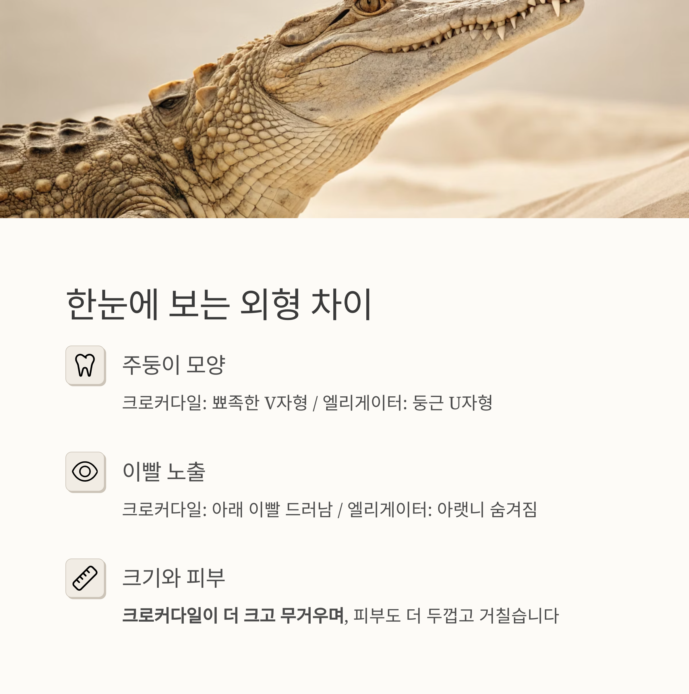 한눈에 보는 외형 차이