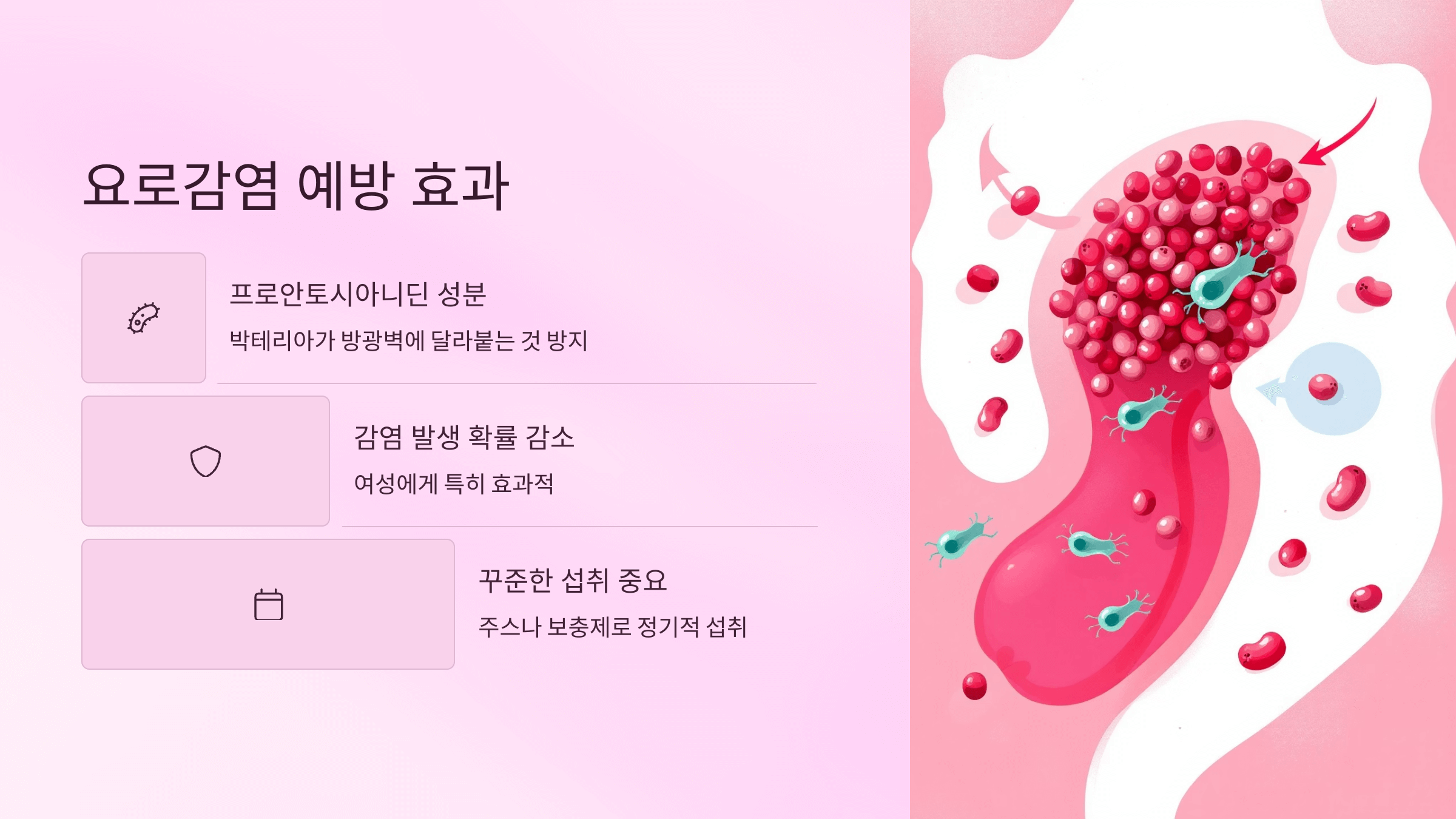 크랜베리 사진입니다.