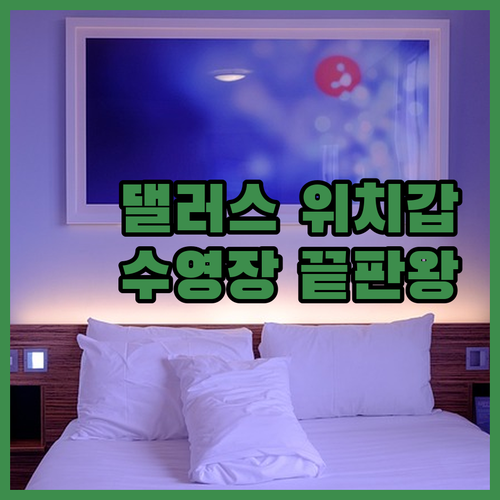 텍사스 댈러스 호텔 예약 가이드 위치..