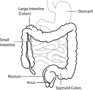 대장내시경후 식사-이미지