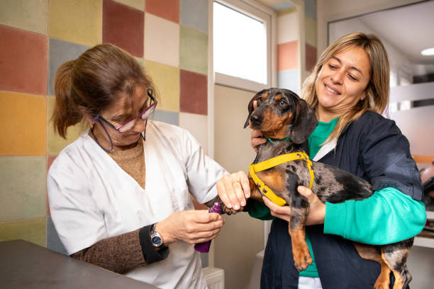 반려동물 발톱깎이의 종류와 특징