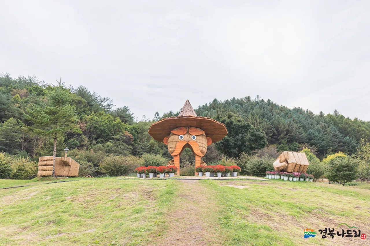 봉화 가볼만한곳 베스트10 현지인 추천 필수코스_4