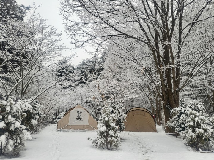 포천 아버지의숲 산정캠프 소개