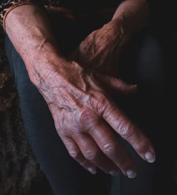 콘드로이친 효능 복용법 시간 부작용