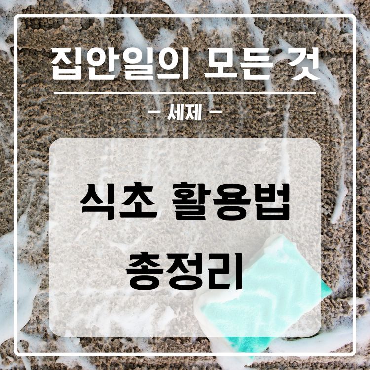 식초 활용법 총정리