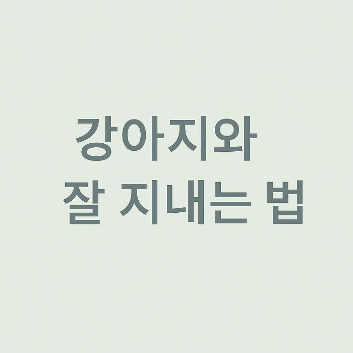강아지와 잘지내는 법