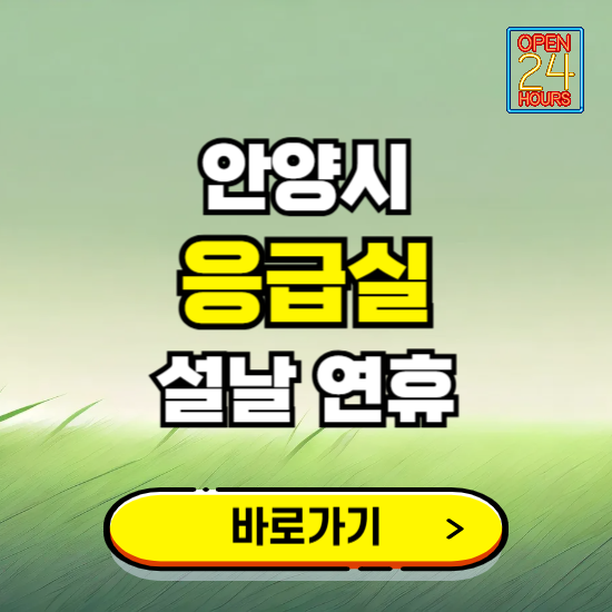 안양시 설날 연휴 비상진료 응급실 병원 찾기 ❘ 내근처 24시 야간 심야 휴일 가능한 곳