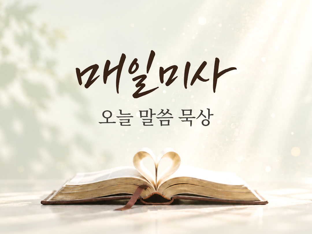 2026년 9월 23일 매일미사 오늘의 복음과 말씀 묵상