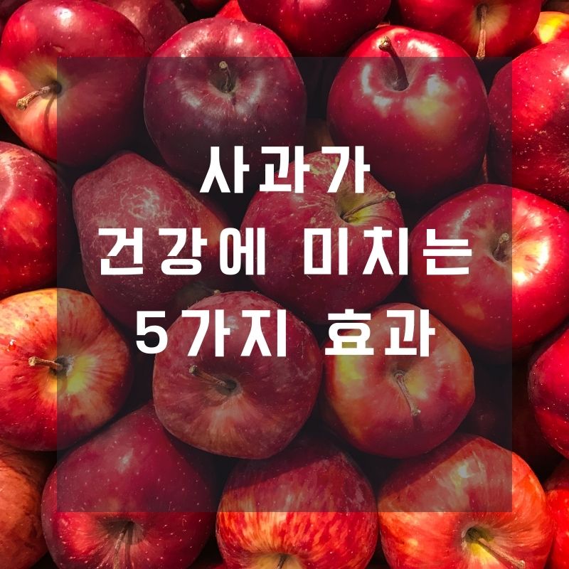 사과가 건강에 미치는 5가지 효과