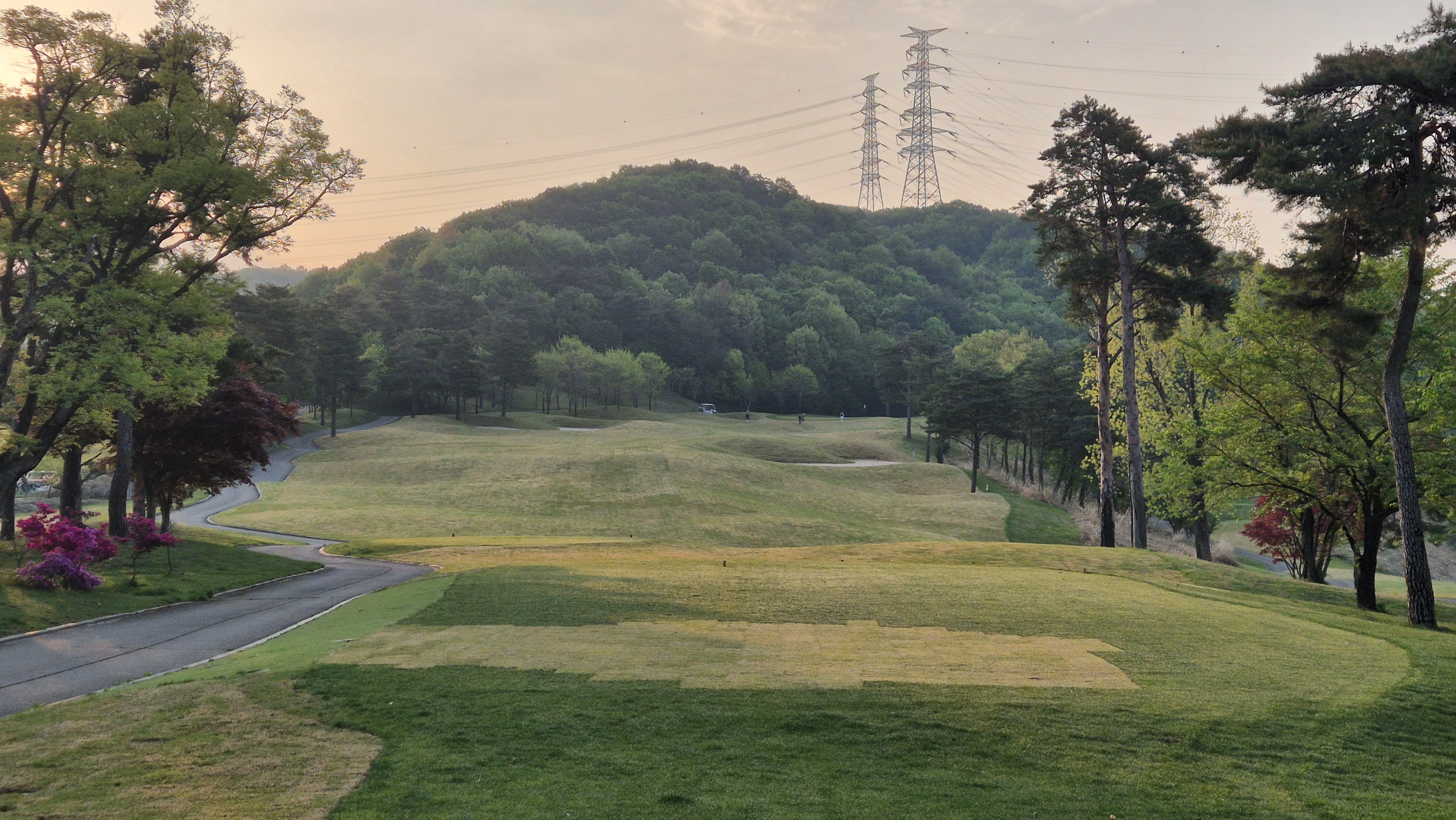 마에스트로cc 코스